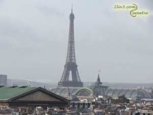A view on the Eiffel Tower