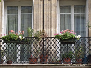 Flowers on the windows in Paris