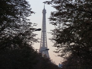 The Eiffel Tower behind the trees :)