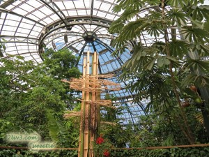 The Rose Hills Foudation Conservatory